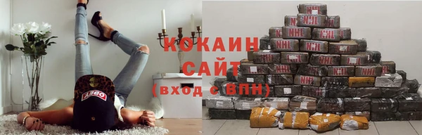 прущие крисы Пестово