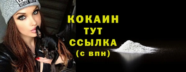 apvp Армянск