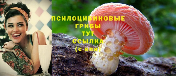ECSTASY Арсеньев