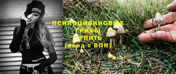 apvp Армянск