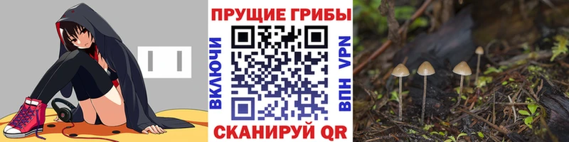 Галлюциногенные грибы ЛСД  Белоярский 